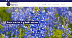 Desktop Screenshot of endosa.com